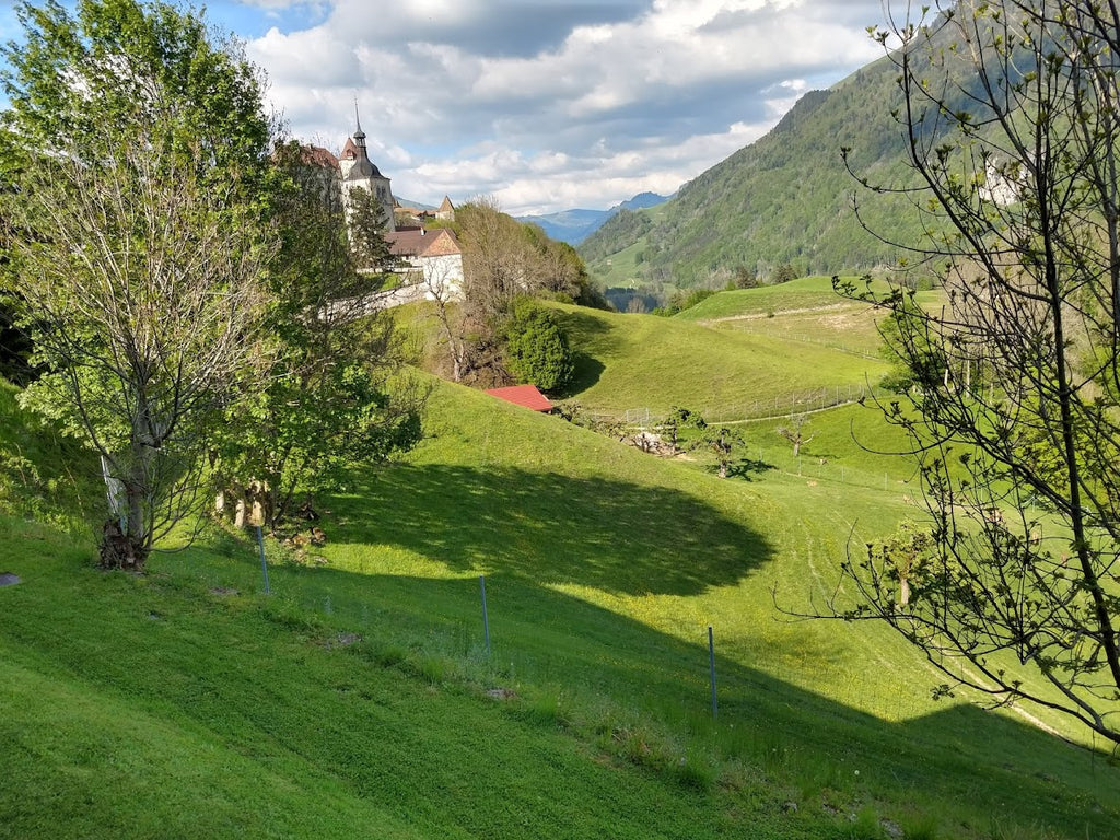 Une vue du village de Gruyère, dans le Canton de Fribourg.