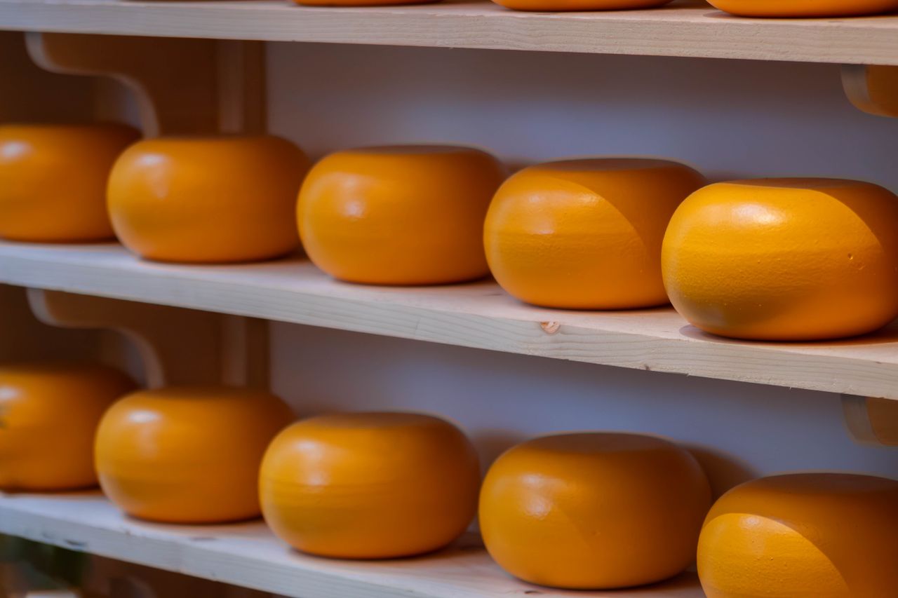 Close-up of Gouda cheese rounds on wooden shelves. Ideal for food and dairy concepts.